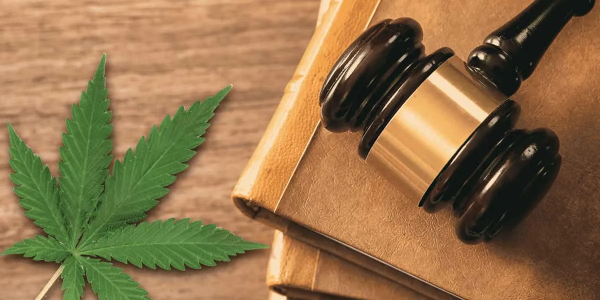 ¿Es legal el CBD?